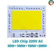COB 220V 50W 100W 150W 200W AC 220V