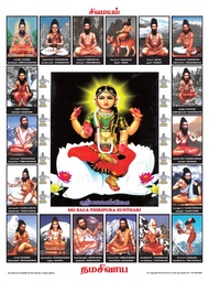 18 Siddhargal Poster (Hindu Saint Poster) Synthetic Vinyl Sheet - 46cm x 61cm (18" Γ 24") (Frame no