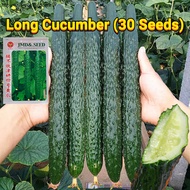 เมล็ดพันธุ์แตงกวา เมล็ดแตงกวาญี่ปุ่น 30เมล็ด Japanese Cucumber Seed Organic Vegetable Seeds for Plan