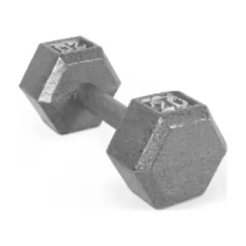 20lb Cast Iron Hex Dumbbell Single, Professional Gym Weights for Strength Training, Home & Commercia