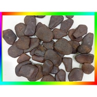 【1KG】Pebble Stone Pebble Stone
