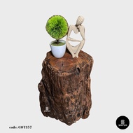 COT357. Chengal Emas Artistic Wood Pedestal/ Stump/ Side Table/ Stool