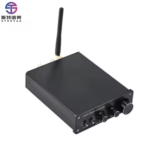 600W Channel Bluetooth Home Cinema Power Amplifier 2.0 Channel HiFi Stereo Speaker Power Amp 300W Pe