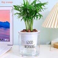 [Big orange] Refreshing Sensation Good Morning Flowerpot Plastic Grow Box For Home Garden Plants Nur