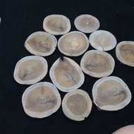 RUSTIC teak wood slice grade wood slice decorative material size 7cm 8cm 9cm 10cm (cracker crak/ aus