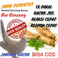 HERBAL NEW BIO GINSENG JAMU DALAM TETES BURUNG PERKUTUT LOKAL  HERBAL PERKUTUT LOKAL JAMINAN GACOORR
