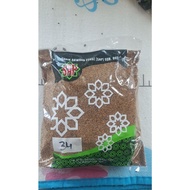SAP | BIJI LEMUJU/AJWAIN | 1KG/100G