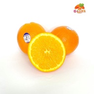 US SUNKIST ORANGE 3107 1pc