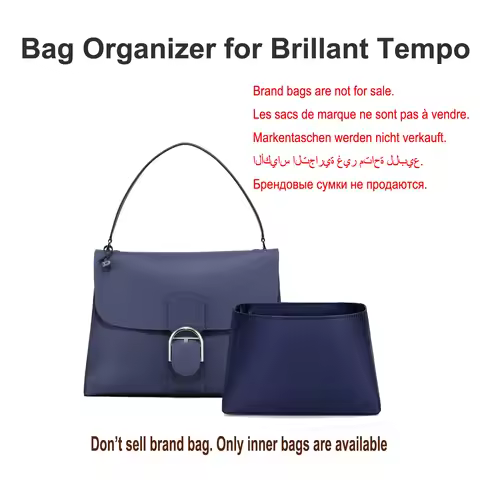 Satin Bag Organizer Insert Fit for Delvaux Brillant Tempo, Lightweight Purse Inner Liner Shaper Hand