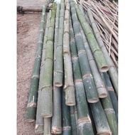 bambu petung bulat utuh bahan layang2 panjang 1 meter aj vohyrv 7758tn