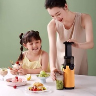 Nineshield KB-F6B mini slow juicer