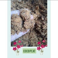 Kusot/ Coco peat/ Coco Dust 1kg