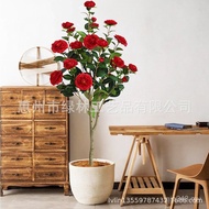Artificial Tree Artificial Floor-standing Green Plant Potted Ornaments Detachable Artificial Tree Ho
