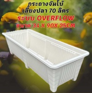 กระถางเลี้ยงปลาไซซ์จัมโบ้สีขาว เปล่า  ระบบoverflow ขนาด34x90x25CM กะบะเลี้ยงปลา อ่างเลี้ยงปลา อ่างเล