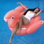 Flamingo Float FLAMENCO Large Swan Float Bestway Beach Pool 41526