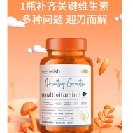 【Vetwish唯特仕】 复合维生素B 40g 猫狗通用复合维生素冻干片 营养补充 Multivitamin Vitamin B Cat Supplements dog supplement Nutr