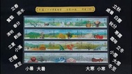 💯二十四節氣連體郵票 全套24枚