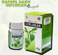 Ciplukan Kapsul Ciplukan Daun Ciplukan Inayah suplemen diabetes CIPLUKAN ASH SHIHAH