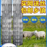 Orchard Fence Galvanized Protective Net Fence Net Cow Fence Net Iron Wire Net Rustproof Breeding Net