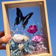 擷取天空。情人節紀念日禮物/永生蝴蝶標本/永生玫瑰/喬遷開幕禮