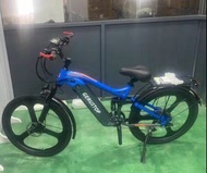 電動單車（全電和助力）