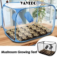 YAYEEO Mycology Still Air Box, Transparent Propagation Stations Mushroom Grow Bag, Foldable PVC Wate