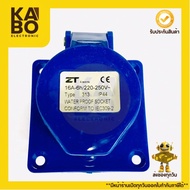 Plugpower Power Plug 2P+E 16A-6h/220V-250V Type313