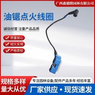 Original Husqvarna Husqvarna 372XP Chainsaw Ignition Coil/High Voltage Package