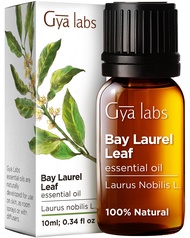 Gya Labs Bay Leaf Essential Oil (10ml) - Spicy Herbaceous Scent