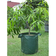 Pot Tanaman Hias 100 Liter Planter Bag Pot Besar Pot Bunga Besar PlanterBag Polybag Tanaman A307