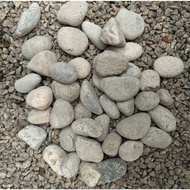GPS Green Plant Society Decorative White Grey Pebble Stone 白灰色 鹅卵石 3-6cm 6-10cm 10-14cm 15cm+ (3KG)