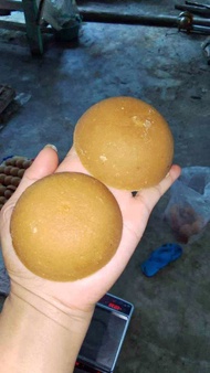 TERMURAH ORIGINAL Gula Jawa Asli Nira Kelapa Gula Merah Asli Batok 1kg Tanpa Campuran Asli Jogja