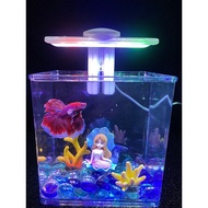 Plastic mini betta fish tank 15x12x15cm (Aquarium only)