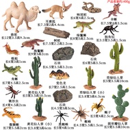 Simulation Cactus Baobab Tree Miniature Landscape Plant Sand Table Scene Decoration Model Educationa