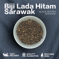 (HARGA BORONG) BIJI LADA HITAM SARAWAK / BLACK PEPPER CORN SARAWAK 100G/500G (READY STOCK)