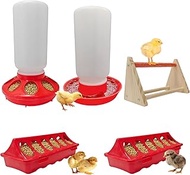Chick Feeder & Waterer Starter Kit with 2 Trough Feeders and Roost Bar – No-Leak Baby Chick Waterer 