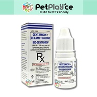 BioGenta Drops Gentamicin + Dexamethasone 10ml Eye Drop Meds Eme