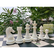 Premium Plastic Chess Fruit Modern Knight Type Chess Set