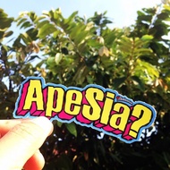 Apesia? (B) / 16.5cmX5cm F563
