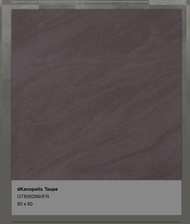 Granit Roman dKanopolis Taupe GT809206HFR 80 x 80