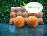 EM ball อีเอ็มบอล บำบัดน้ำเสีย จำนวน 30 ลูก