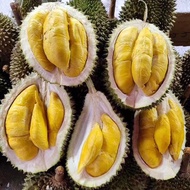 DurianBae Premium Mao Shan Wang (Musang King D197) Durian 300g | Freshly Dehusked & Chilled | Pahang