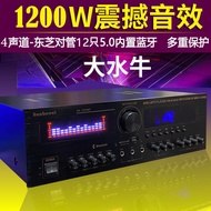 [Car Audio] Power Amplifier Household High-Power Professional Karaoke Fever Subwoofer Digital Bluetooth Partition U Disk Power Amplifier EQYR