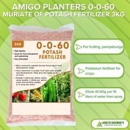 MURIATE OF POTASH / 0-0-60 POTASH FERTILIZER 3 KG - FOR FRUITING ABONONG PAMPALAKI NG BUNGA AT PAMPA