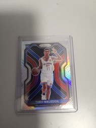 Panini Nba card silver