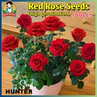 Fresh Red Rose Seeds for Planting Flowers (Fast Growing 100 Seed) Legit Red Rose Flower Seeds for Ga