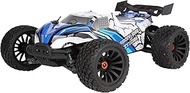 DF Models Z-10 Competition Truggy BR Brushed RTR (L x W x H 50 x 36 x 23 cm, approx. 3600 g, scale 1