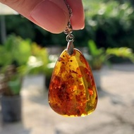 波羅的海蜜蠟琥珀吊飾 - 招財 健康 長壽之寶石