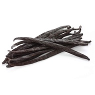 Premium Grade Planifolia Vanilla Pod / Vanilla Bean (1 stick)