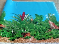 Wallpaper background aquarium tinggi 60cm